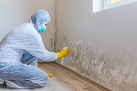 Best Biohazard Mold Removal  in River Falls, WI