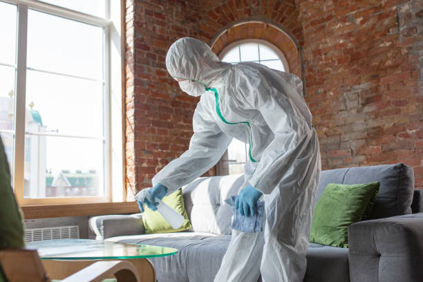 Best Water Damage & Mold Remediation  in River Falls, WI