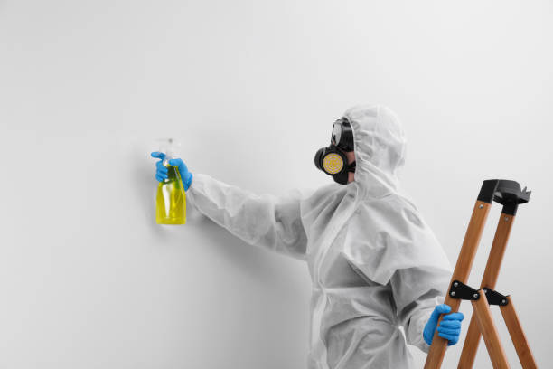 Professional Mold Inspection in River Falls, WI